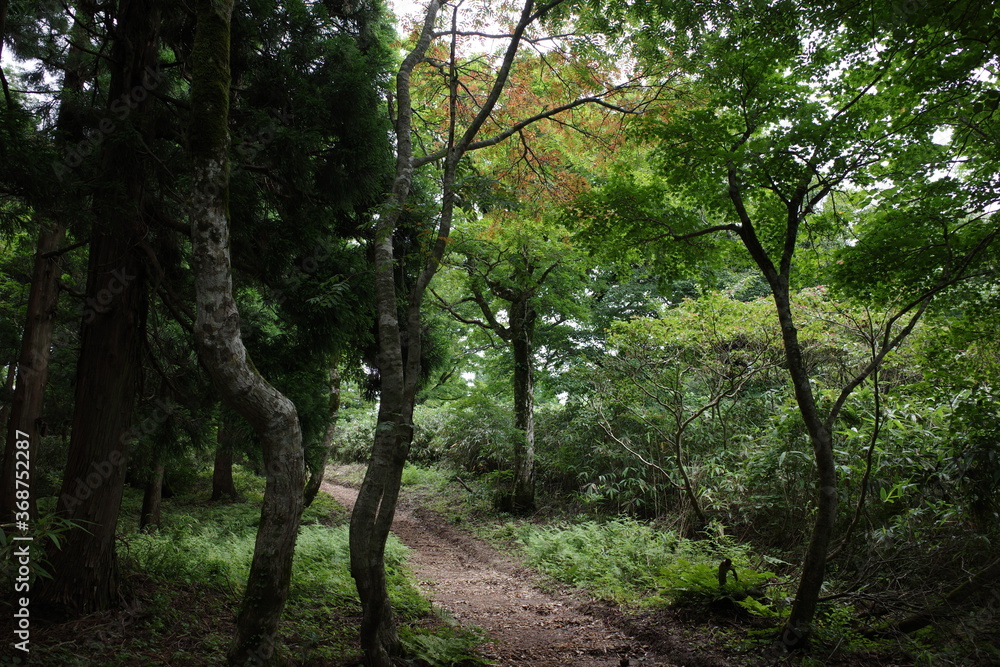 日本の岡山県鏡野町の山の景色