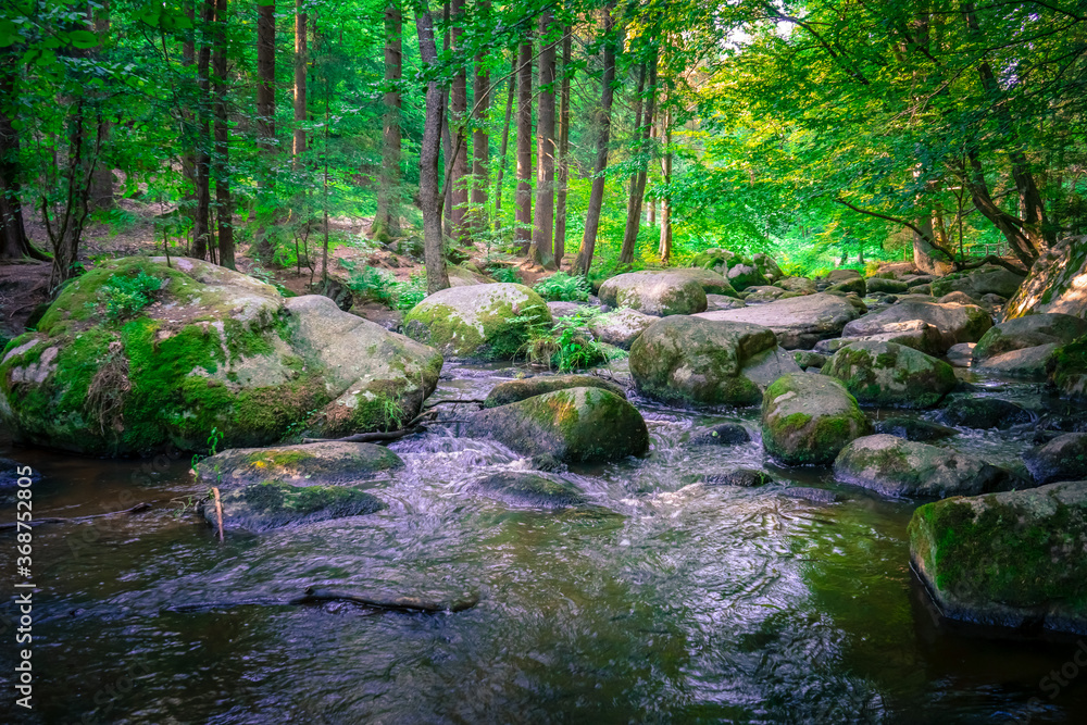 Wanderung durch das Höllbachtal in der nähe von Rettenbach im bayerischen Wald Wanderung durch das Höllbachtal in der nähe von Rettenbach im bayerischen Wald