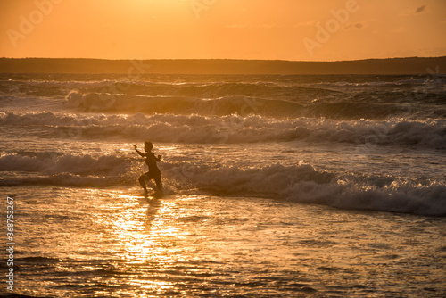 beach, sand, sea, ocean, water, summer, surf, coast, waves, vacation, people, sky, travel, woman, horse, landscape, wave, nature, couple, surfing, blue, walking, shore, dog, holiday