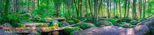 Wanderung durch das Höllbachtal in der nähe von Rettenbach im bayerischen Wald
