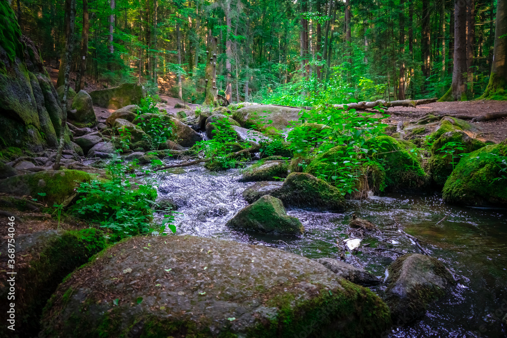 Wanderung durch das Höllbachtal in der nähe von Rettenbach im bayerischen Wald Wanderung durch das Höllbachtal in der nähe von Rettenbach im bayerischen Wald