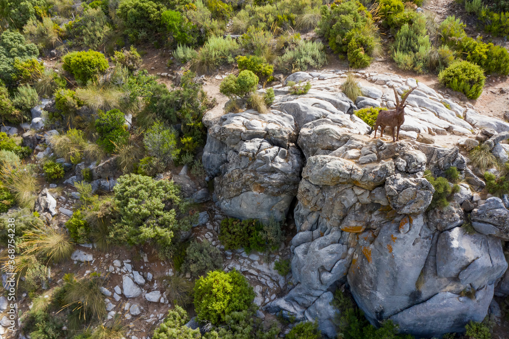 monumento a la cabra montés de la sierra de las Nieves en el municipio de Ojén, Andalucía