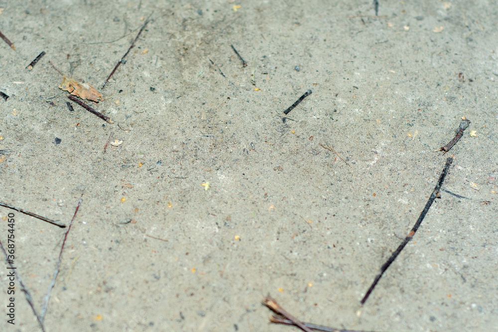 Background with a surface of trampled and dried dirt with small pebbles and small twigs Background with a surface of trampled and dried dirt with small pebbles and small twigs