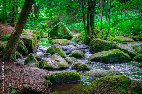 Wanderung durch das Höllbachtal in der nähe von Rettenbach im bayerischen Wald