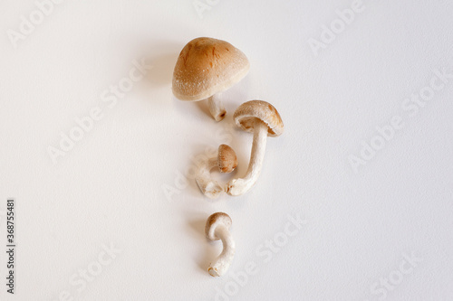 Fresh shiitake mushrooms lie on a white background. Top view close up with copy space.