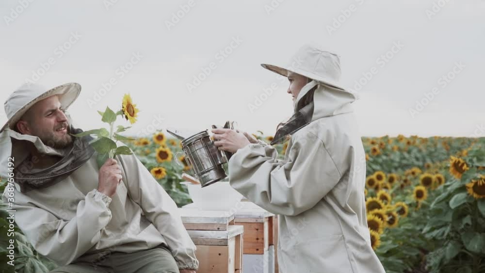 A family of beekeepers is engaged in the honey industry in a field with sunflowers.Healthy Organic Food in Apiary or Farm A family of beekeepers is engaged in the honey industry in a field with sunflowers.Healthy Organic Food in Apiary or Farm
