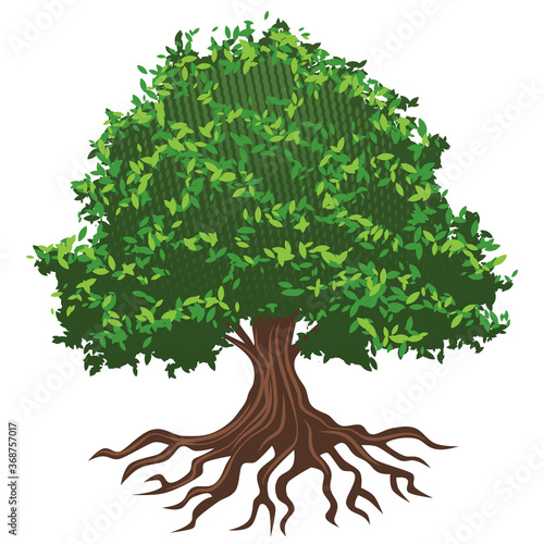 Stylized strong Oak tree with roots, vector illustration.
