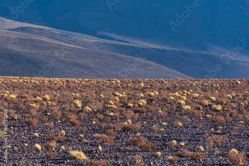 Desert landscape in the Salar de Arizaro, La Puna, Argentina, South America, America photo