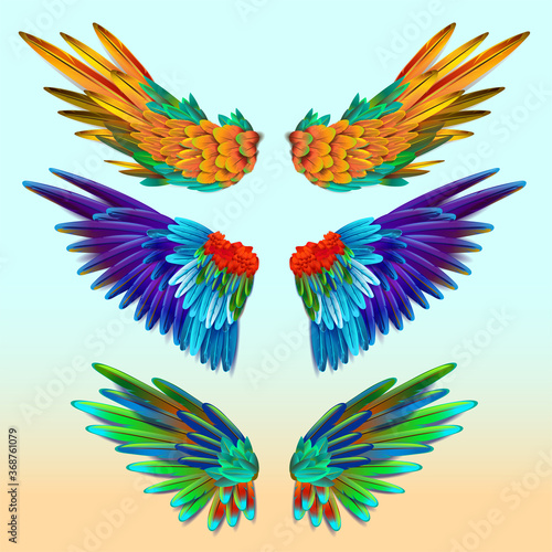 Set of colorful wings