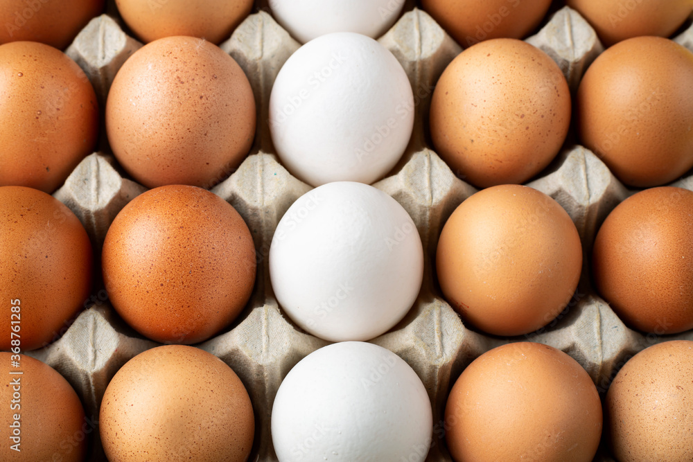 chicken eggs in a tray as a background chicken eggs in a tray as a background