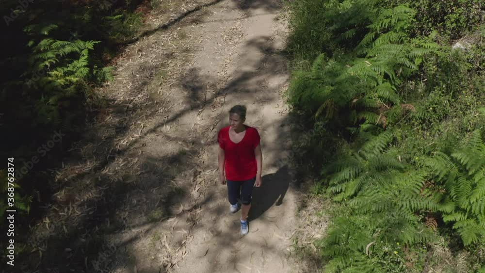aerial view of young attractive woman walking along a forest path shooting from drone, summer time aerial view of young attractive woman walking along a forest path shooting from drone, summer time