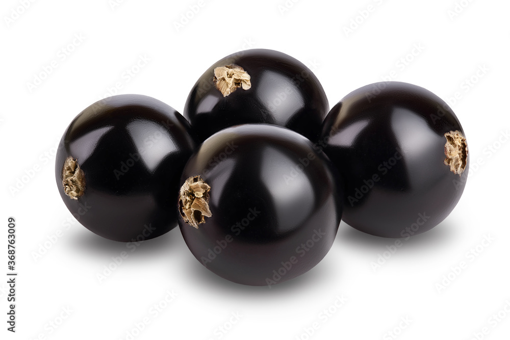 black currant with leaves isolated on white background with clipping path and full depth of field black currant with leaves isolated on white background with clipping path and full depth of field