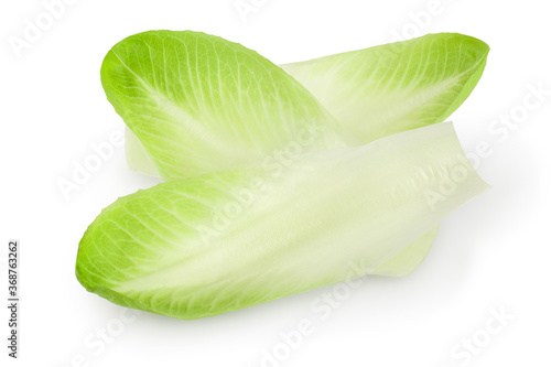 Chicory salad leaves isolated on white background with clipping path and full depth of field.