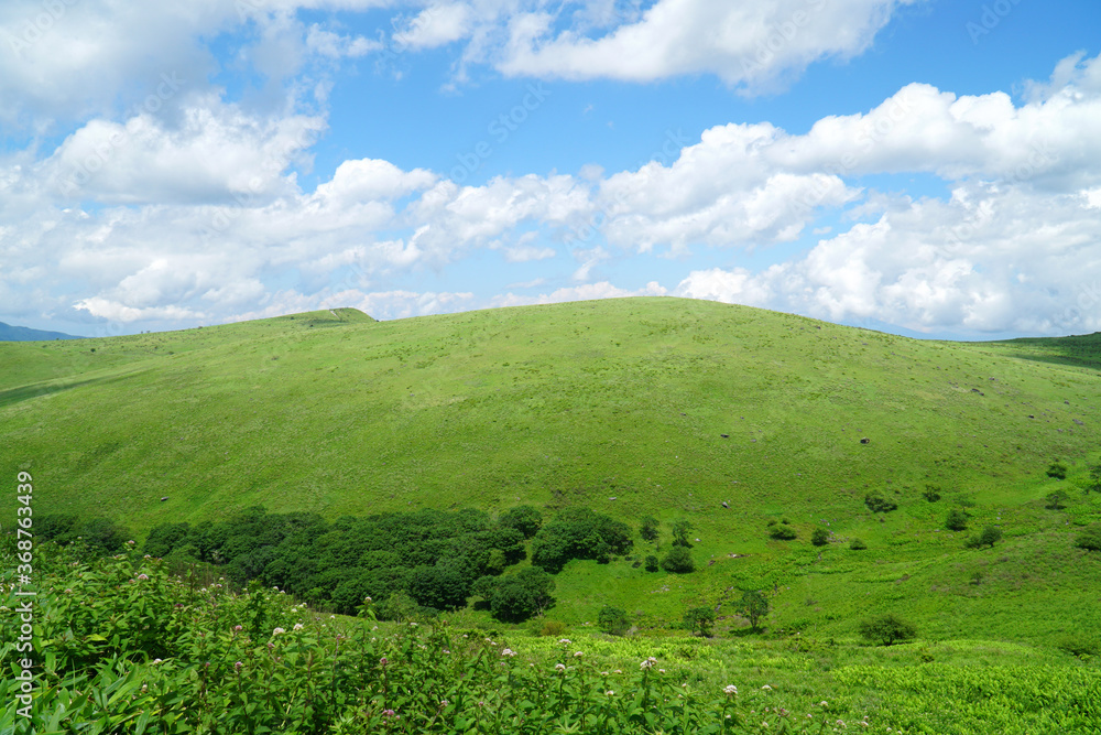 夏の霧ヶ峰高原 夏の霧ヶ峰高原