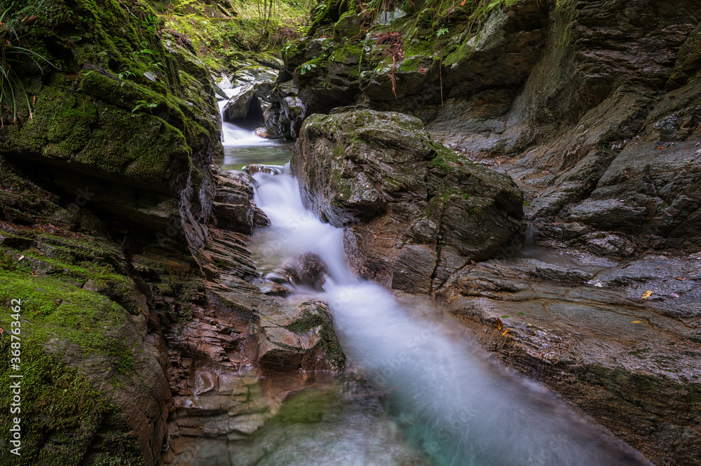 River flowing up in dark forest River flowing up in dark forest