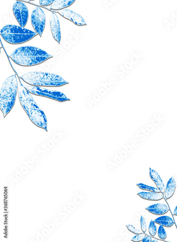 blue leaves isolated on a white background with clipping path for summer design elements.