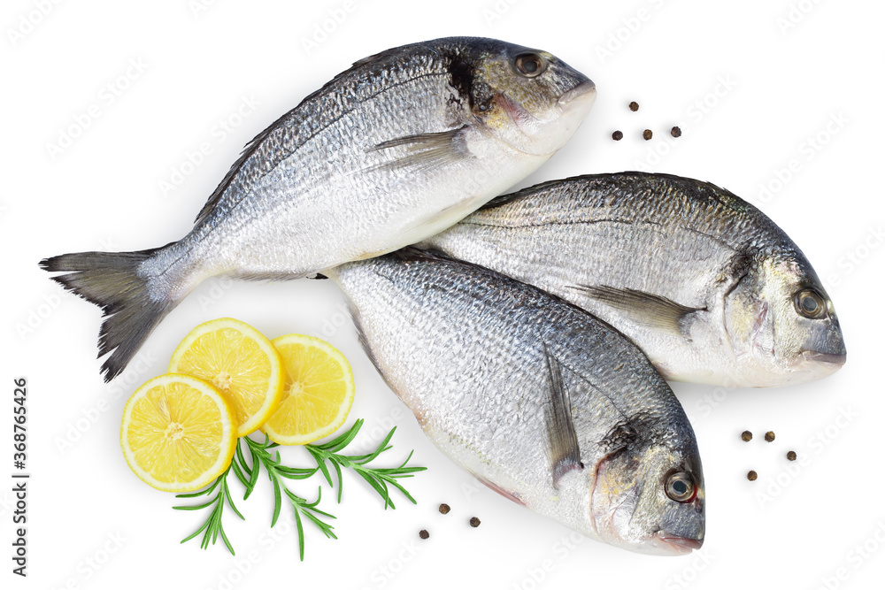 Fish dorado isolated on white background with clipping path and full depth of field. Top view. Flat lay Fish dorado isolated on white background with clipping path and full depth of field. Top view. Flat lay