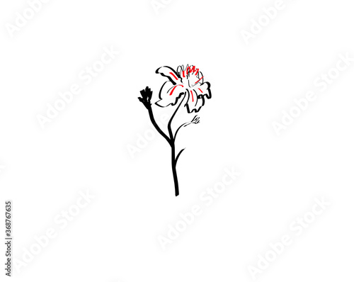 vector flower on white background  graphic illustration of a flower in Japanese style  simple illustration Botanical illustration