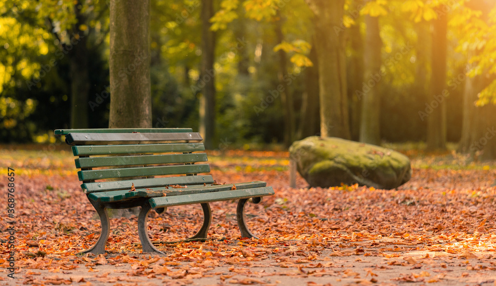 Wooden bench in autumn city public park