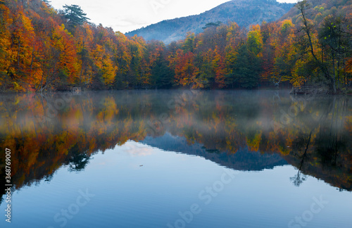 Autumn time and fall colors. Colorful tree leaves fallen from tree branches. Very beautiful lake. Yedigöller, Bolu, Istanbul. Turkey. 