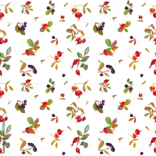 Watercolor elegant colorful seamless pattern with red dog rose and chokeberry. White background