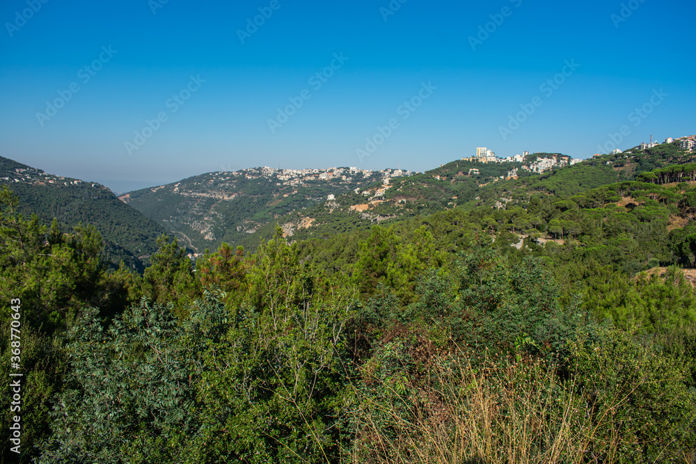 Lebanon mountain scenery with pine forest vegetation