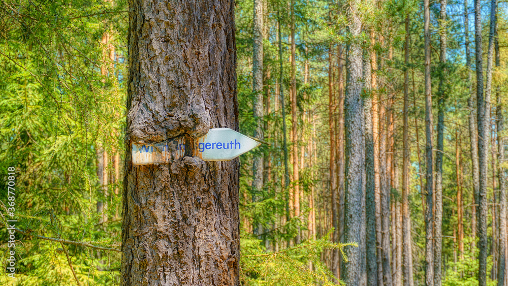 Wegweiser wird von Baum verschlungen Wegweiser wird von Baum verschlungen