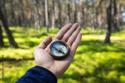 Classic compass in hand against background of an summer pine forest and moss