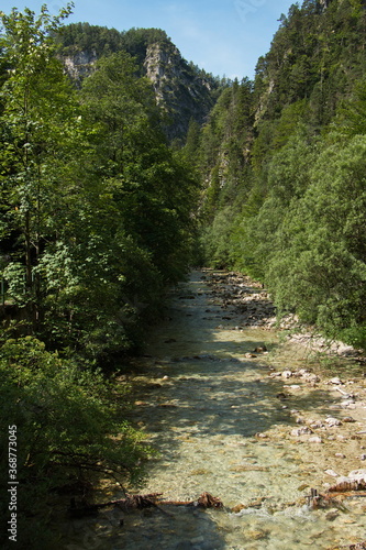 The creek Oetscherbach in Oetschergraben near to the Oetscher in Austria  Europe 