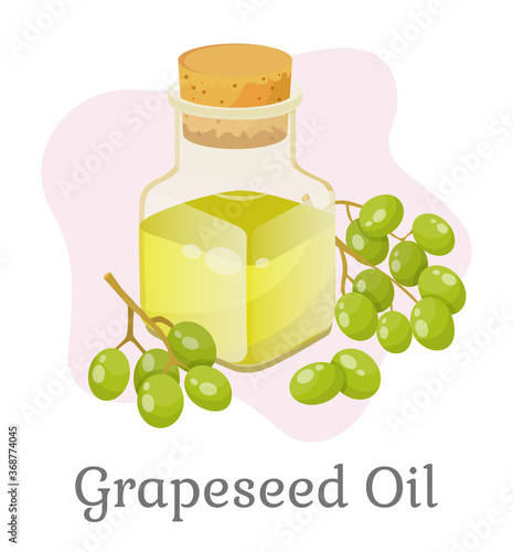 Glass bottle closed with bung with liquid inside. Branch with green small grapes. Vessel with grapeseed oil used for cooking or beauty industry like hair care. Vector illustration in flat style