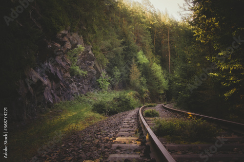 Stillgelegtes Schienengleis im Wald