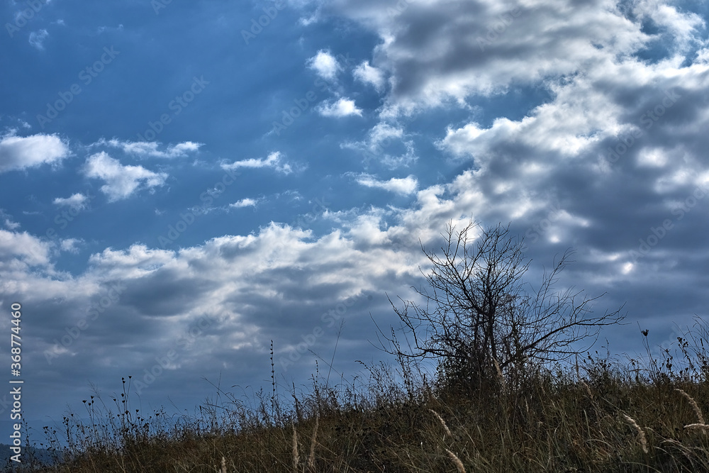 mountain view sky clouds forest mountain view sky clouds forest