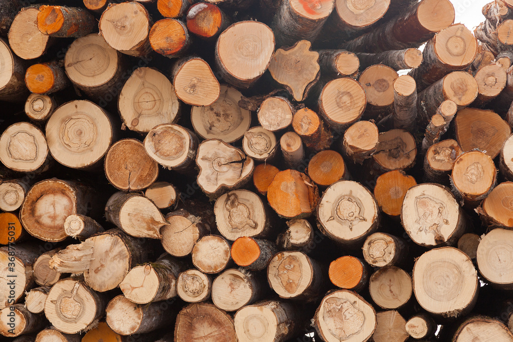 Pile of logs texture background Pile of logs texture background