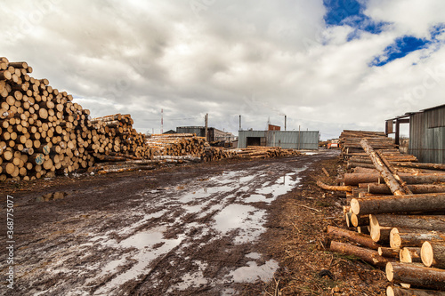 Sawmill with dirt road and heaps of logs