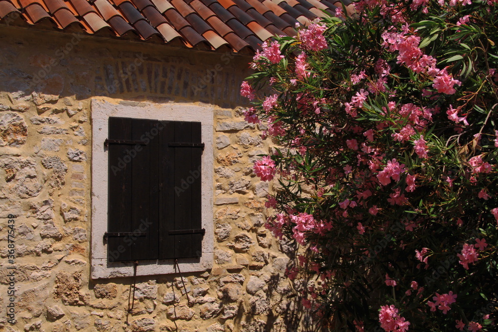 Old house in Krka National Park in Croatia
Old house in Krka National Park in Croatia