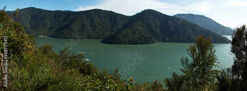 View of Pelorus Sound from Cullen Point Lookout on Queen Charlotte Drive,Marlborough Region on South Island of New Zealand 
 photo