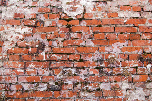 Vintage red brick texture background