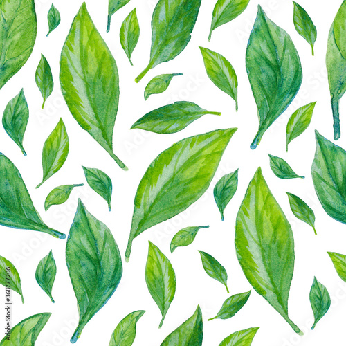 Jasmine leaves. Seamless watercolor pattern