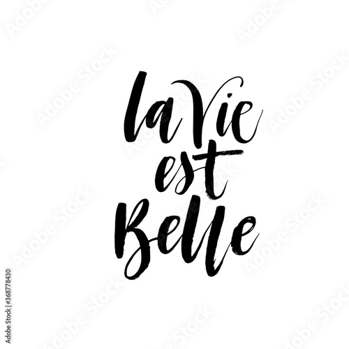 La vie est belle ink brush vector lettering. Modern slogan handwritten vector calligraphy. Black paint lettering isolated on white background. Postcard, greeting card, t shirt decorative print.