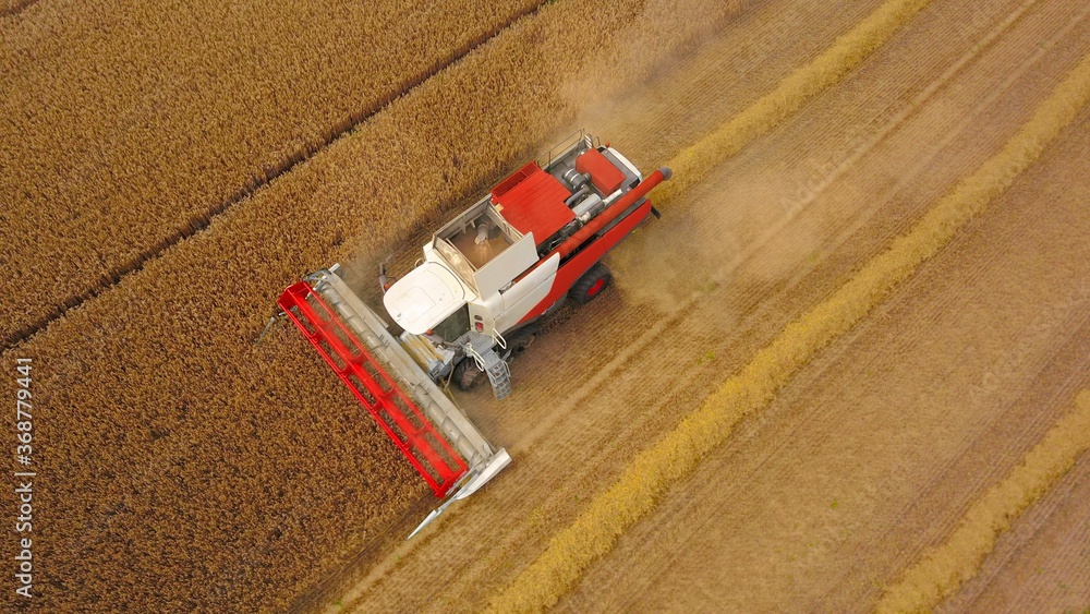Mähdrescher bei der Ernte von Getreide auf einem Kornfeld aus der Vogelperspektive Mähdrescher bei der Ernte von Getreide auf einem Kornfeld aus der Vogelperspektive