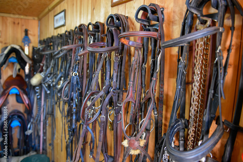 Horse rider's accessories