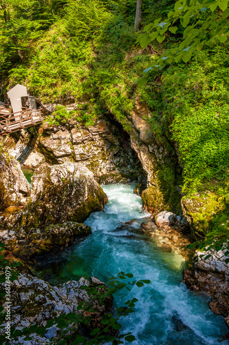 river rides on a fast mountain alpine river