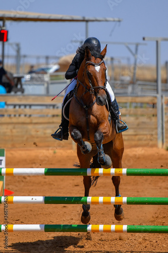 Rider jumps over obstacles during horse show jumping © PROMA