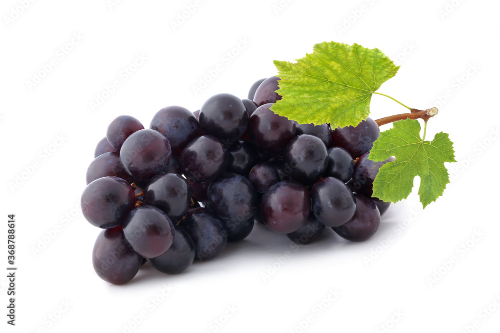 Bunch of black grapes with leaves isolated on white background Bunch of black grapes with leaves isolated on white background