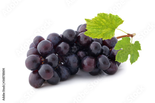 Bunch of black grapes with leaves isolated on white background