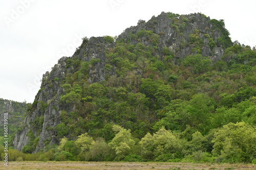 An isolated big mountain with a fresh forest in national park