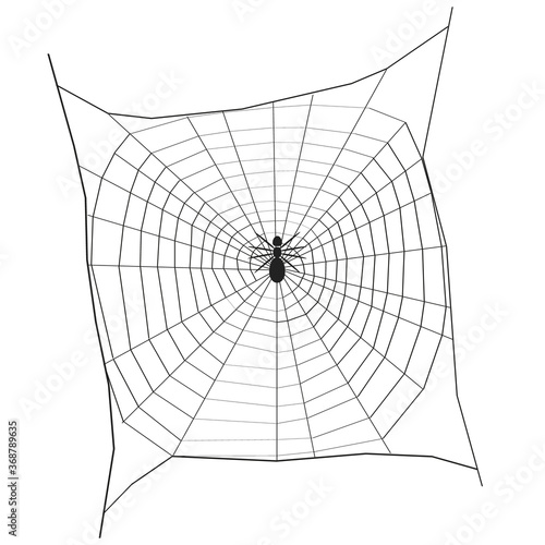 Silhouette of a spider on a large web. View from above. Vector illustration