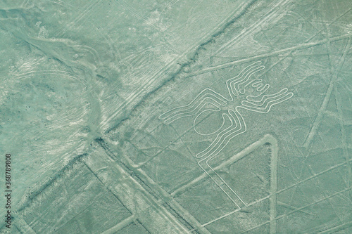 Nazca Lines - The Spider
