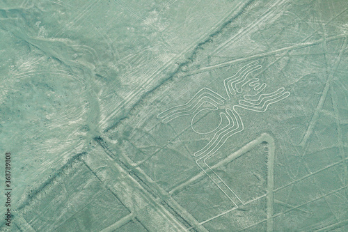 Nazca Lines - The Spider photo