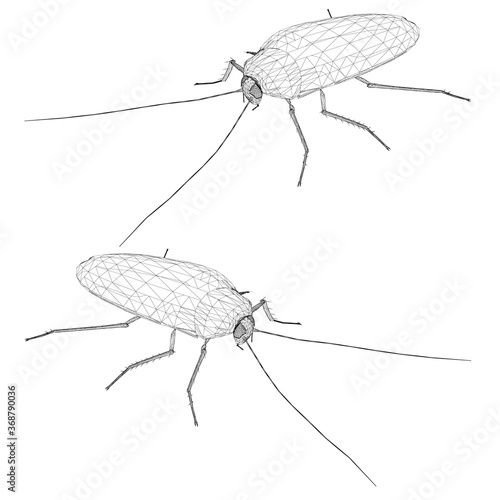 Low poly detailed cockroach. Isometric view. Wireframe cockroach isolated on white background. Vector illustration